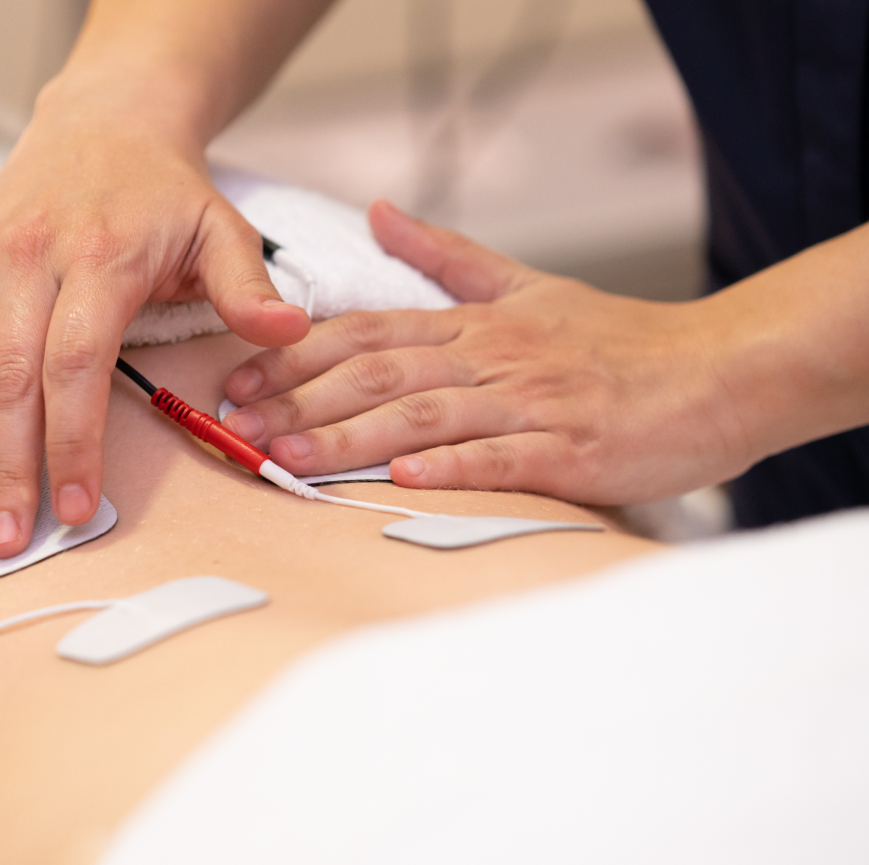 Restart Fizio Social Media